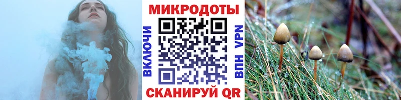 купить наркоту  Питкяранта  Галлюциногенные грибы Cubensis 