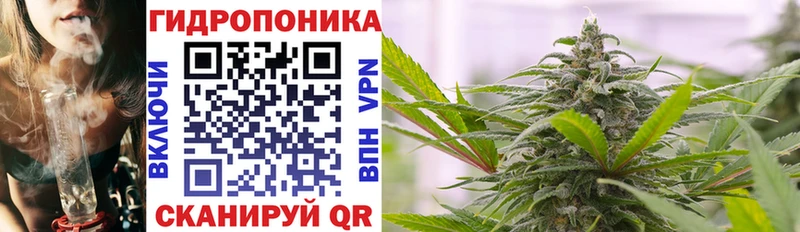 наркошоп  Питкяранта  Конопля семена 